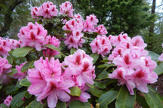 Martha's Vineyard, MA Open Day